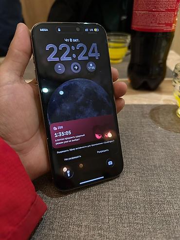 Apple iPhone: IPhone 16 Pro Max, 256 ГБ Характеристики и детали: - Модель: iPhone — 4