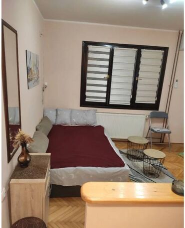 Daily rent of apartments: 1 bedroom