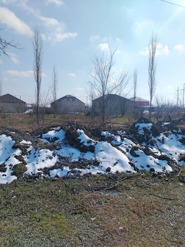 Torpaq sahələrinin satışı: 20 sot, Mülkiyyətçi, Bələdiyyə