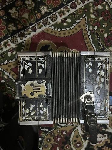 ako: Qarmon – dekorlu, ana mirvari naxışlı - Növ: knopf akordeon tipli — 4