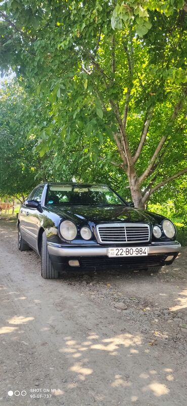 mercedes şarlotta: Mercedes-Benz 200: 2 л | 1996 г. Седан