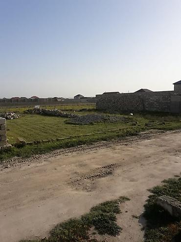 maştağa kiraye: 4 sot, Kənd təsərrüfatı, Mülkiyyətçi, Kupça (Çıxarış) — 4