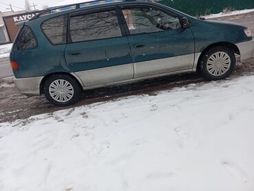 ипсум 98: Toyota Ipsum: 1996 г., 2 л, Автомат, Бензин, Минивэн