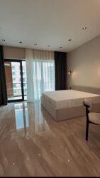 Günlük kirayə mənzillər: 1 otaqlı — 11