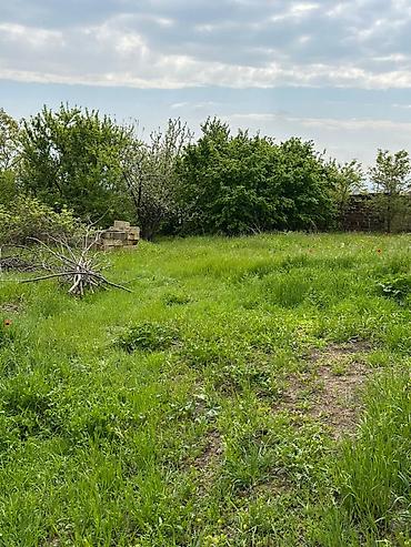kirov qesebesi: 32 sot, Tikinti, Mülkiyyətçi, Kupça (Çıxarış) — 9