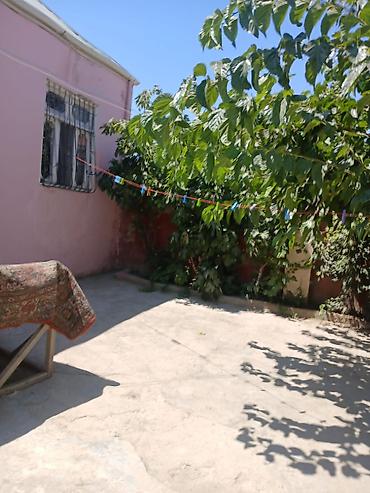 ev alqi sat: 3 otaqlı, 75 kv. m, Kredit yoxdur, Orta təmir — 7