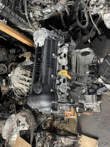 Sbor motorlar və silindr başlıqları: Hyundai i30, 1.6 l, Dizel, 2010 il, İşlənmiş