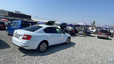 полироль авто: Skoda Octavia: 2019 г., 1.6 л, Автомат, Бензин, Седан — 4
