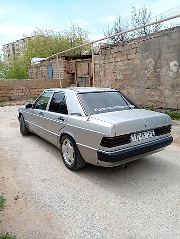 190 radiator: Mercedes-Benz 190 (W201) sedan - Kuzov: gümüş rəng, 4 qapı, klassik — 2