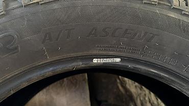 550: Шина Bridgestone A/T Ascent - Тип: вседорожная A/T, бескамерная — 2