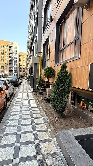 2 комнаты, 80 м², 1 этаж, ПСО (под самоотделку)