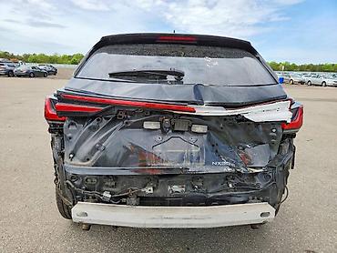 nx: Lexus NX: 2022 г. — 6