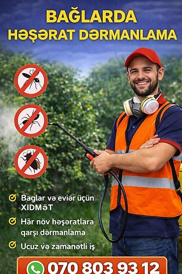 esvicin sprey: Dezinfeksiya və həşərat dərmanlama xidməti - Ev, ofis və müxtəlif — 4