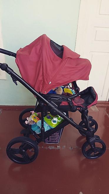 Modullu arabalar: Bebetto Magnum 2-in-1 uşaq arabası - Rəng: tünd qırmızı (bordo), qara — 1
