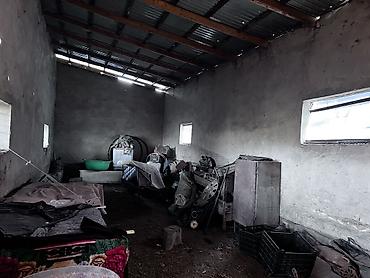 Продажа коттеджей и домов: Срочно продается дом +большой участок Адрес: Беловодский село Бала at lalafo.kg — 10 Продажа коттеджей и домов: Срочно продается дом +большой участок Адрес: Беловодский село Бала — 10