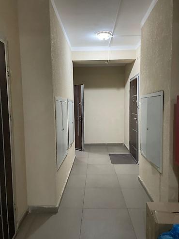 Продажа квартир: 1 комната, 43 м², Индивидуалка, 3 этаж — 9