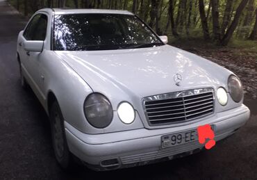 Mercedes-Benz: Mercedes-Benz 300 Series: 2.2 l | 1999 il
