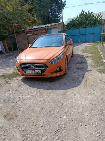 тико машине: Hyundai Sonata: 2019 г., 2 л, Автомат, Газ, Седан