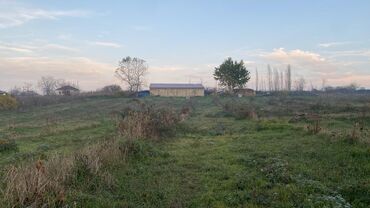 Anbar və emalatxanalar: Ünvan: Qusar şəhəri Ləyər kəndi (ləzgi ləyər) 1hk 68 sot bağ yeri — 30