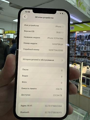 ipad mini: IPhone 12 Pro Max, 256 ГБ, цвет Pacific Blue Характеристики и детали — 2