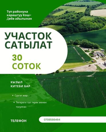 продаю дом ак орго: 30 соток, Для сельского хозяйства, Красная книга