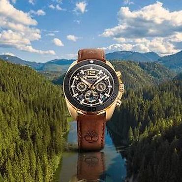 Ručni satovi: AKCIJA - TIMBERLAND Marshfield TDWGF0041702 - 44mm - Zlatna Potpuno — 9