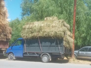 продаю шерсть: Продаю Горный сено