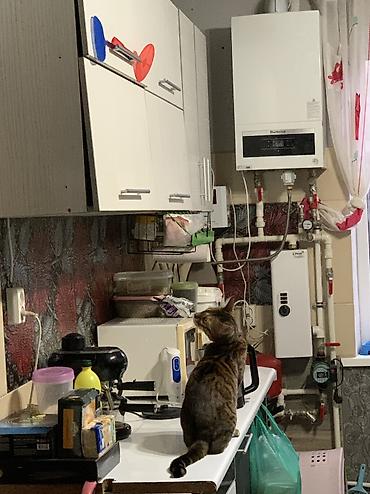 Продажа коттеджей и домов: Продается дом кирпичный 70м2, на участке 3 сотки. Расположен в черте — 15