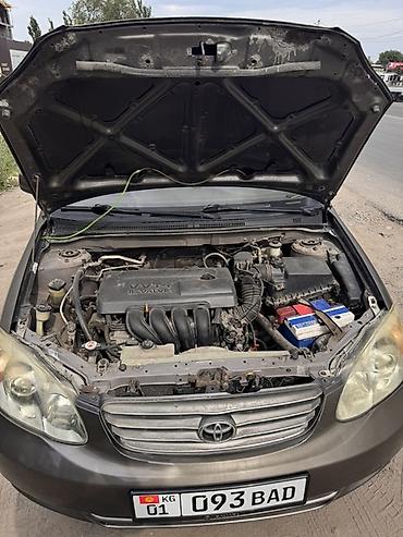 светофоры: Toyota Corolla: 2003 г., 1.7 л, Автомат, Бензин, Седан — 8