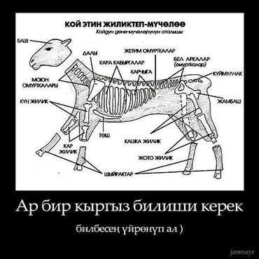 Домашний персонал и уборка: Требуется сотрудник, Оплата Ежемесячно