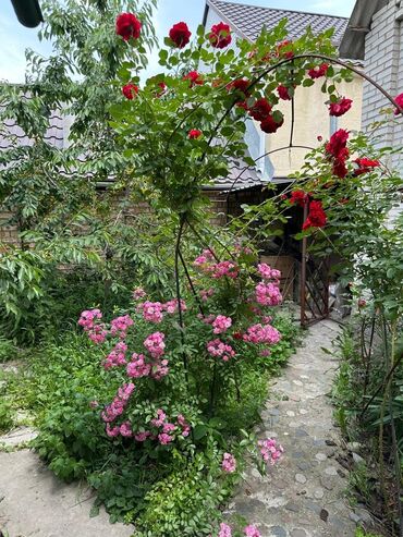 Продажа домов: Дача, 44 м², 3 комнаты, Собственник at lalafo.kg — 13 Продажа домов: Дача, 44 м², 3 комнаты, Собственник — 13