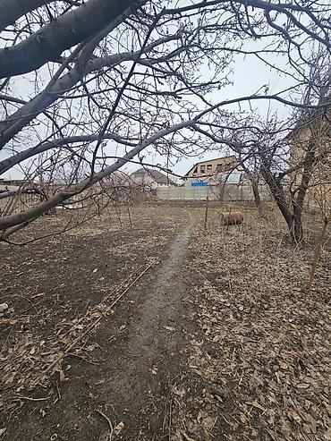 Sale of cottages and houses: Продаётся участок по первой линии Лебединовка напротив магазина Шекер — 5