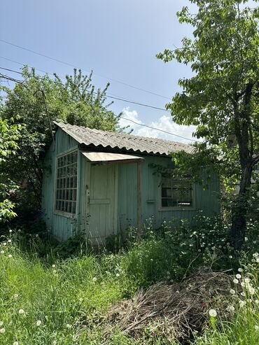 дач участок: 4 соток, Красная книга