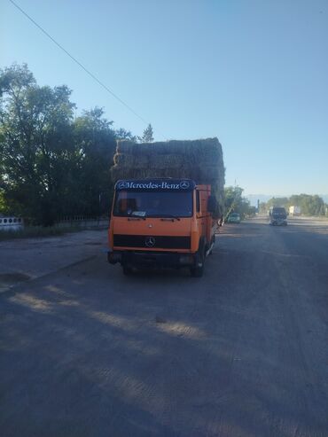 меняю дом на авто: Грузовик, Mercedes-Benz