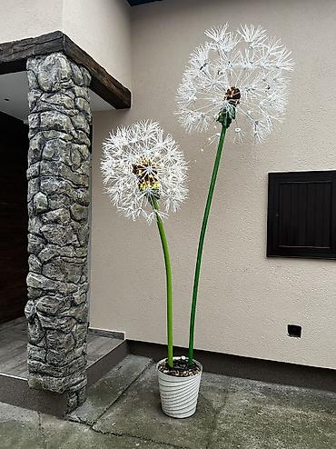 lavanda sadnice: Prodajem prelepe, ručno rađene dekorativne maslačce. Savršen ukras za — 1