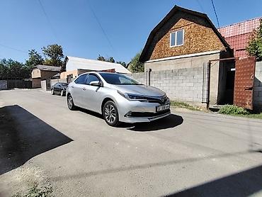 levin corolla: Toyota Corolla: 2019 г., 1.8 л, Вариатор, Бензин, Седан — 2