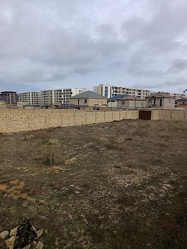 sabuncuda: 12 sot, Tikinti, Kupça (Çıxarış) — 2