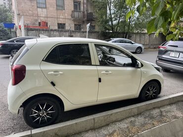 киа морнинг 2019 цена бишкек: Kia Morning: 2019 г., 1 л, Автоматтык, Газ, Хетчбек