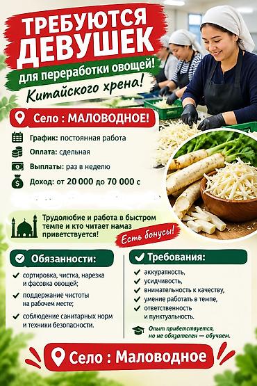🔴Требуются девушек для переработки овощей! Китайского хрена ! 🚩🚩🚩