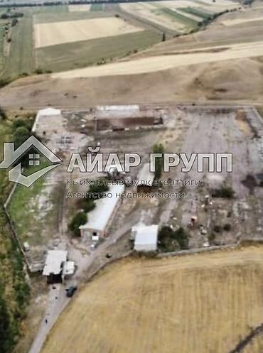 не законченный проект: 300 соток, Для строительства, Договор купли-продажи, Красная книга, Тех паспорт — 3
