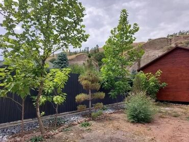 Посуточная аренда домов: 60 м², 3 комнаты, Утепленный, Евроремонт, Кондиционер — 5