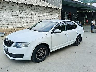 Skoda: Skoda Octavia: 2016 г., 1.6 л, Автомат, Бензин, Седан — 3