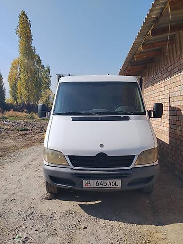 бризгавик на спринтер: Mercedes-Benz Спринтер: 2003 г., 2.2 л, Механика, Дизель, Бус — 1