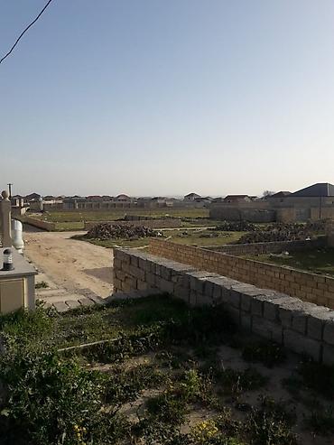 maştağa kiraye: 4 sot, Kənd təsərrüfatı, Mülkiyyətçi, Kupça (Çıxarış) — 5