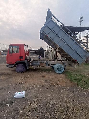 рекс эвакуатор: Грузовик, DAF, Стандарт, 7 т, Б/у — 3