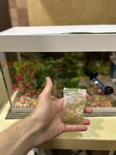 akvarium işığı: Dördbucaq akvarium, Boş, 15 l, Ödənişli çatdırılma, Ünvandan götürmə — 4