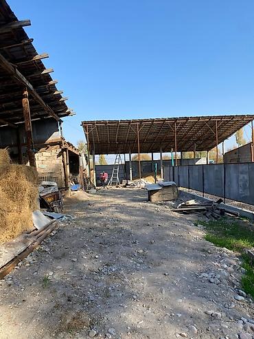 Продажа коттеджей и домов: Продаётся дом в Ысык-Атмнском районе, с.имени Гагарина. Просторный at lalafo.kg — 6 Продажа коттеджей и домов: Продаётся дом в Ысык-Атмнском районе, с.имени Гагарина. Просторный — 6