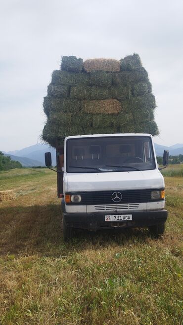 продажа домашних животных: Сено в тюках (прямоугольные тюки) - Заготовка полевое