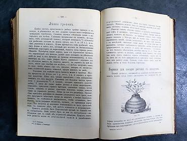 Редкая антикварная книга 1890 г. Название: «Акваріумъ любителя lalafo.az -da — 5 Редкая антикварная книга 1890 г. Название: «Акваріумъ любителя — 5