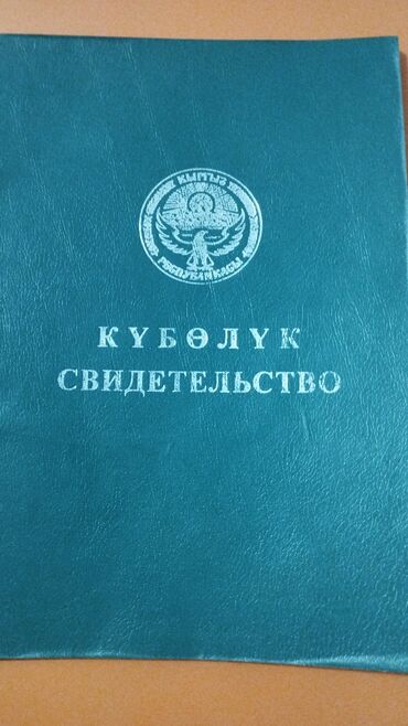 военный антановка участок: 129 соток